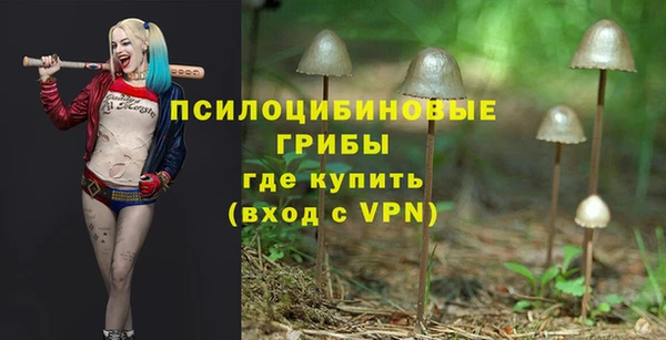 метамфетамин Алексеевка