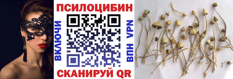 Галлюциногенные грибы прущие грибы  Гвардейск 