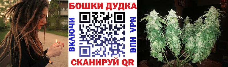 Канабис индика  купить наркотики сайты  Гвардейск 